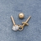 Rose Gold Ear Piercing Jewellery 316 pernos prisioneros de perforación 16G 8m m del acero inoxidable